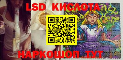 индика Донской