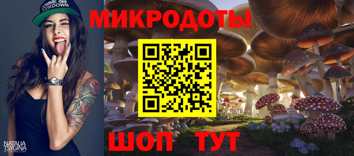 Псилоцибиновые грибы Cubensis Буйнакск