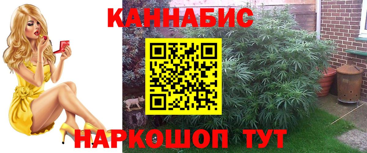 Конопля марихуана Буйнакск